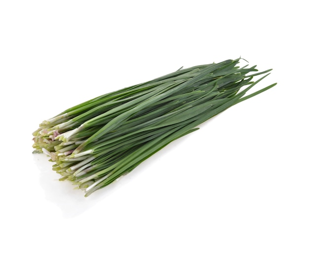 Garlic chives isolated