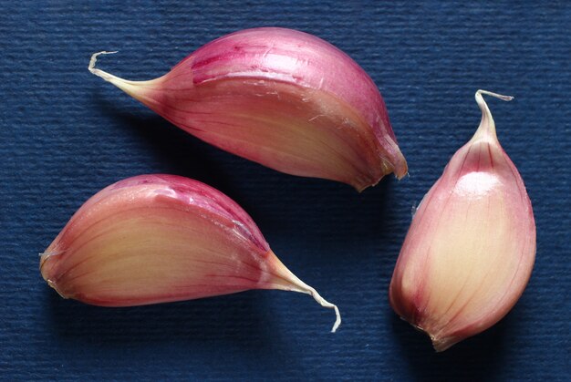 Garlic close up on a blue