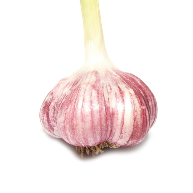 Garlic clove isolated