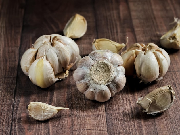 Garlic Cloves and Bulb in brown background