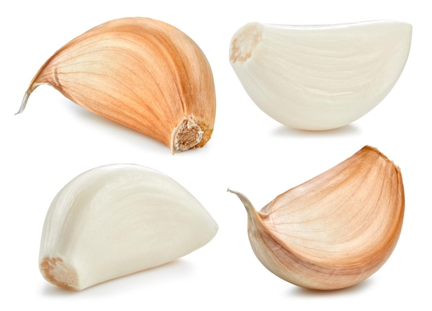 Garlic cloves isolated collection on white background Garlic clipping path