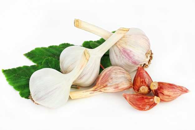 Garlic for cooking.