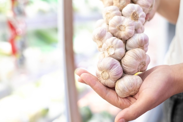 Garlic ground in handSeveral garlic heads that are tied together for the beauty and convenience of the consumer