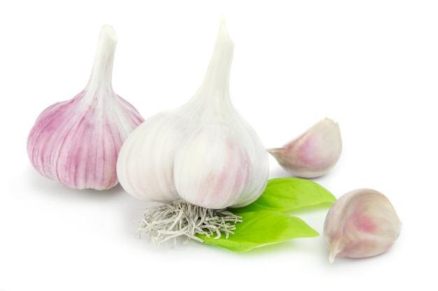 Garlic group isolated on white