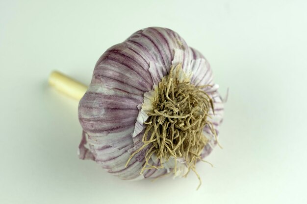 Garlic head isolated on a white background Closeup