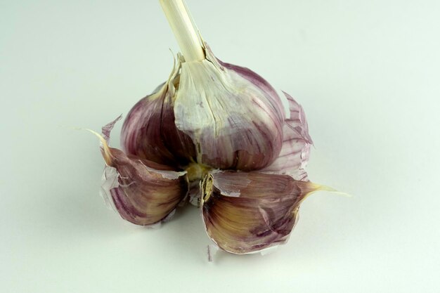 Garlic head and two slices isolated on a white background