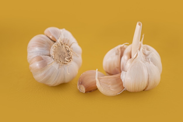 Garlic, and herbs isolated on yellow  fabric background.