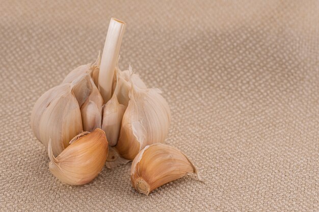 Garlic isolated on fabric background.