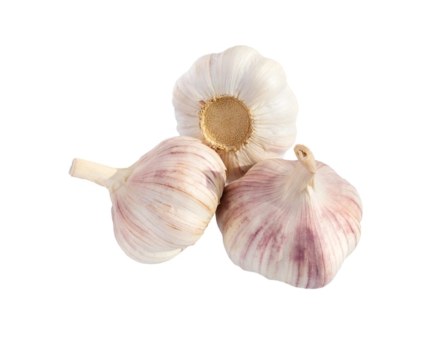 Garlic isolated on white background close up. Raw garlic with clove. Garlic bulb.