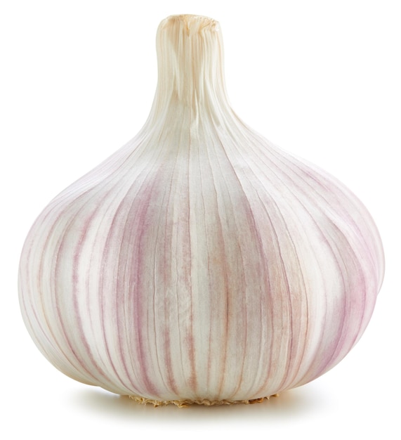 Garlic Isolated on white background. Organic healthy garlic. Fresh garlic Isolated clipping path