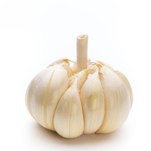 Garlic isolated on the white background.