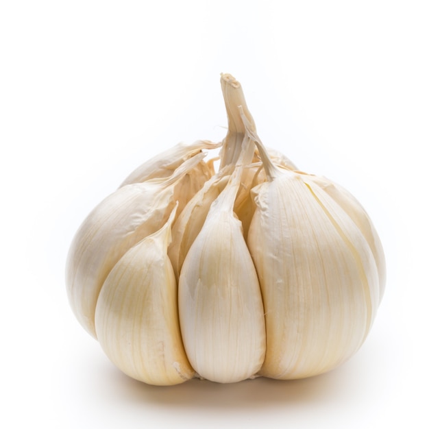 Garlic isolated on the white background