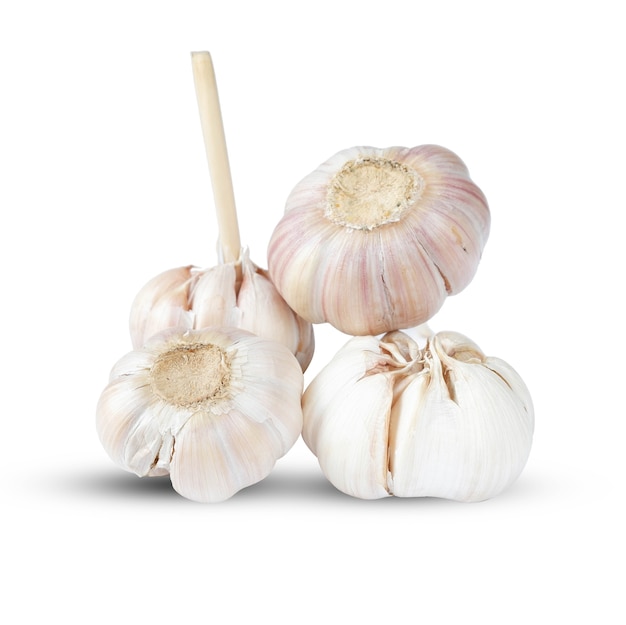 Garlic isolated on a white background