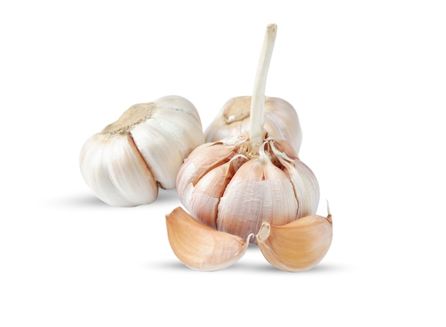 Garlic isolated on a white background