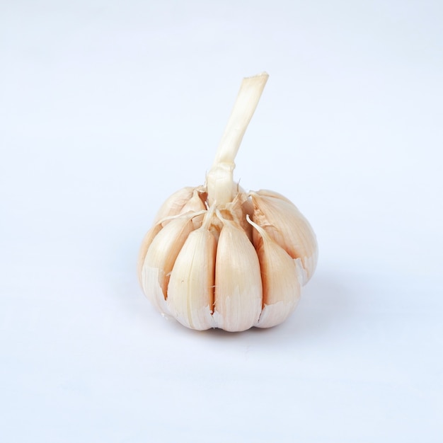 Garlic isolated on a white background