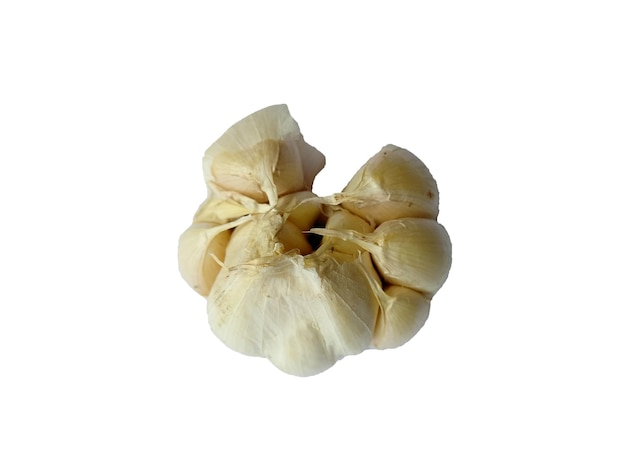 Garlic isolated on white background