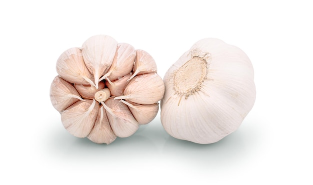 Garlic isolated on white background