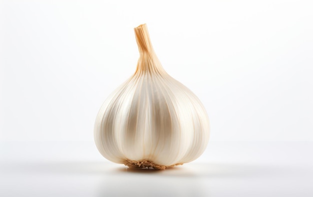 Garlic isolated on white background