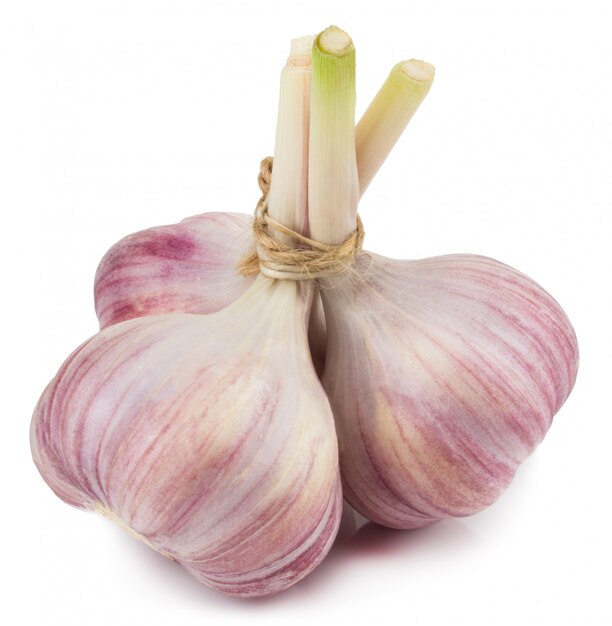 Garlic isolated on white with clipping path