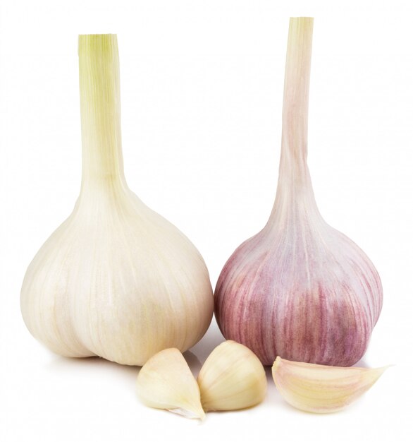 Garlic isolated on white with clipping path