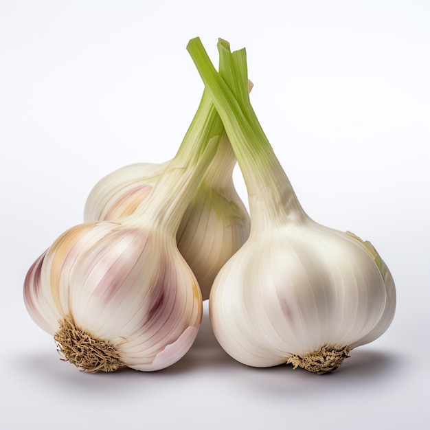 Garlic isolated in white