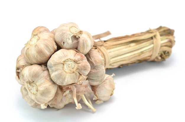 Garlic isolated on white