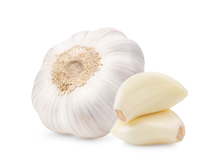 Photo garlic  isolated  
