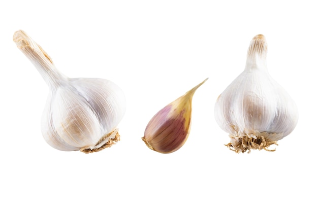 Garlic set isolated on white background