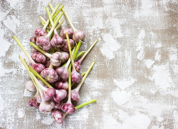 Photo garlic on table