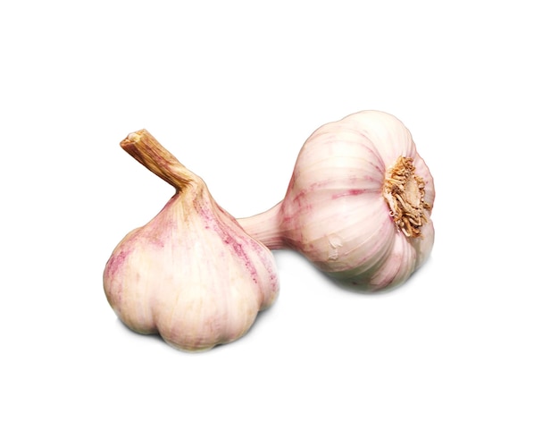 garlic on white background