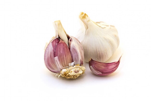 Garlic in white background