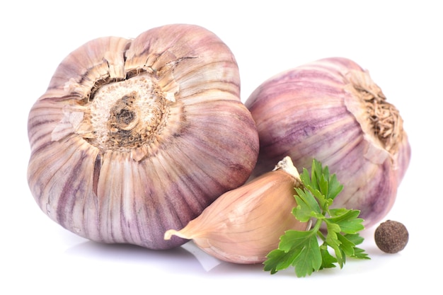 Garlic on a white background