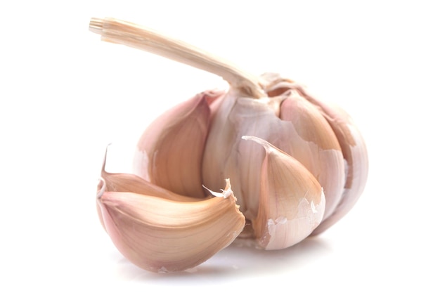 Garlic on a white background