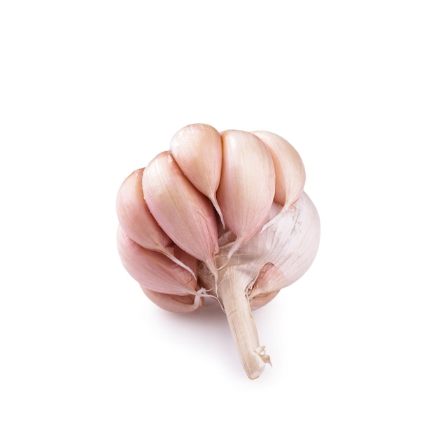 Garlic on white background