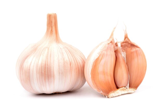 Garlic on a white background