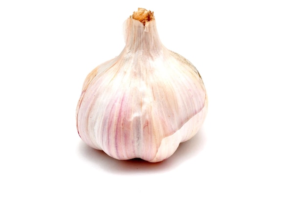 garlic on a white background