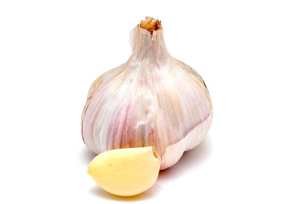 garlic on a white background