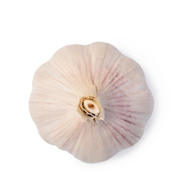 Garlic on a white