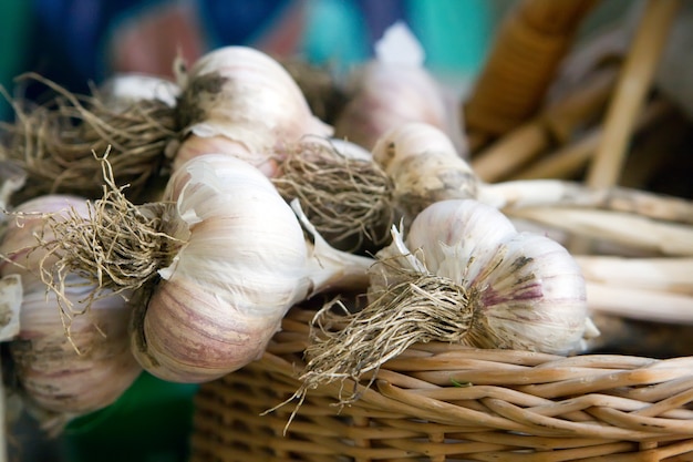 Garlic in wicker basket