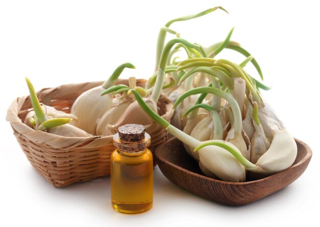 Garlic with mustard oil in a jar over white background