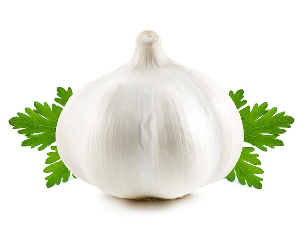 Garlic