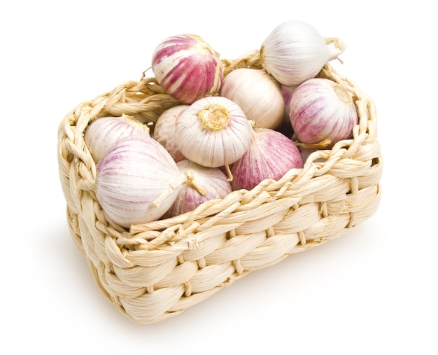 Garlic