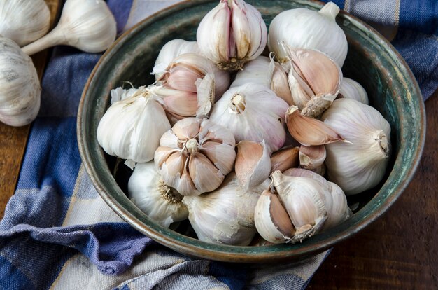 Garlic