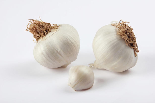 Garlic