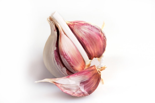 Garlic