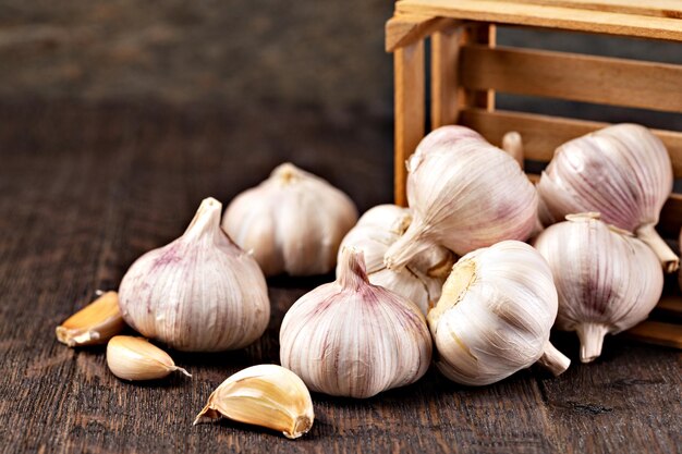 Garlic