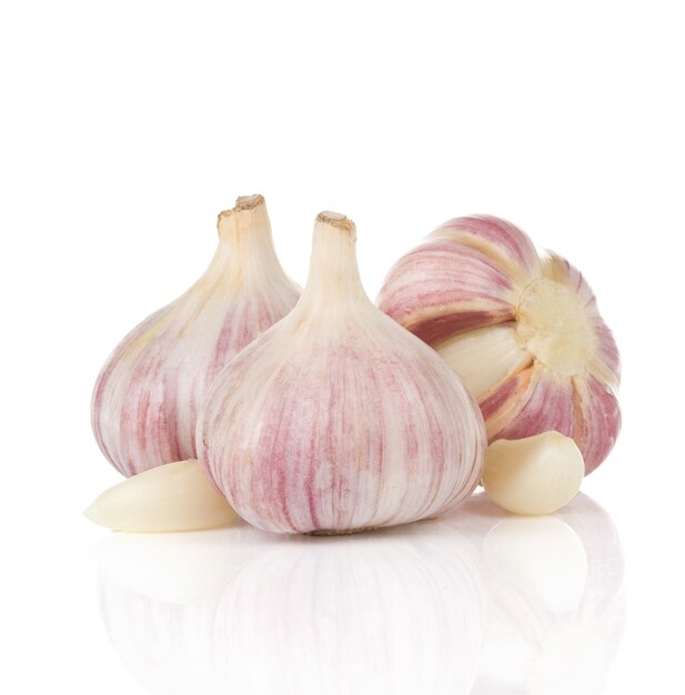 Garlics isolated 