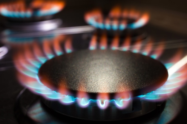 Photo gas burning in the burner of gas oven