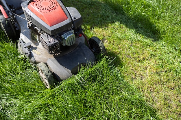 Gasoline lawn mower mowing the grass