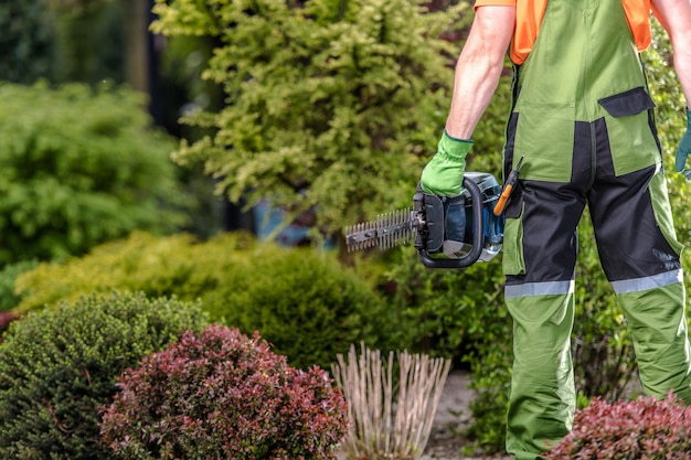 Photo gasoline shrub trimmer